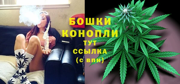PSILOCYBIN Алексеевка