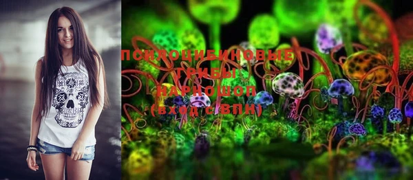 PSILOCYBIN Алексеевка