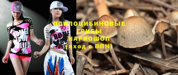 PSILOCYBIN Алексеевка