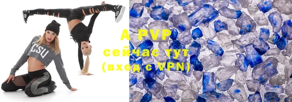 apvp Алзамай