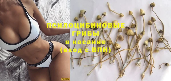 спайс Абдулино