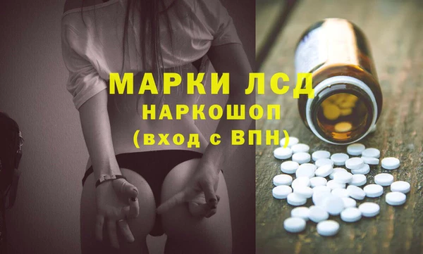 apvp Алзамай