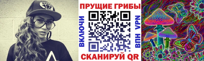 МЕГА зеркало  дарнет шоп  Соликамск  Псилоцибиновые грибы мицелий 
