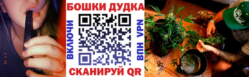Бошки марихуана OG Kush  как найти закладки  Соликамск 